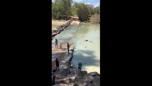 Chilling Footage: Kids play on edge of croc-infested Cahill’s Crossing ...