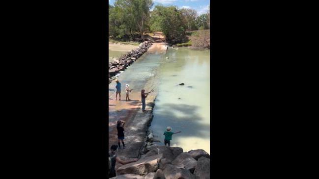 Chilling Footage: Kids play on edge of croc-infested Cahill’s Crossing 