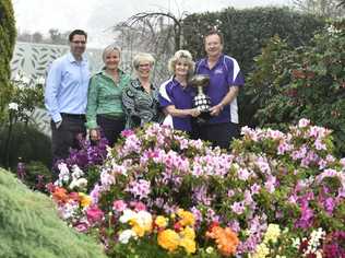 GARDEN CHAMPIONS: Bob and Val Ford (right) in their Burke Street garden after being announced the Chronicle Garden Competition grand champions for 2015. With the couple are from left; TRC Cr Geoff McDonald, Jan Johnson - Heritage Bank and Deb Hanfeld - The Chronicle. Photo Bev Lacey / The Chronicle. Picture: Bev Lacey