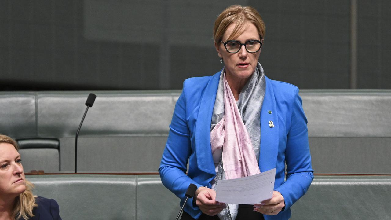 Ms Daniel denied there was a rift between the Teals. Picture: NCA NewsWire / Martin Ollman