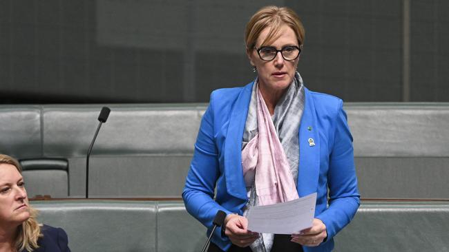 Ms Daniel denied there was a rift between the Teals. Picture: NCA NewsWire / Martin Ollman