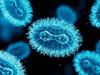 Warning issued amid huge illness outbreak