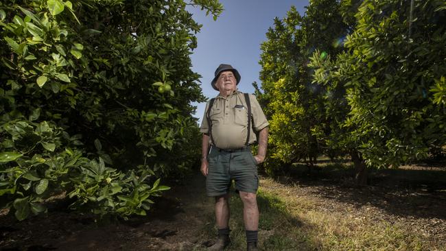 Mike Arnold, 82, has been a fruit grower in Waikerie since 1954. Picture: Simon Cross