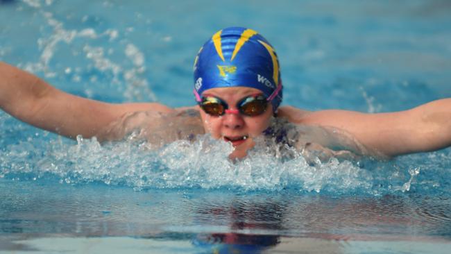 Gympie region champions of the pool: Chloe Maher from Gympie Gold Fins. Photo: Contributed