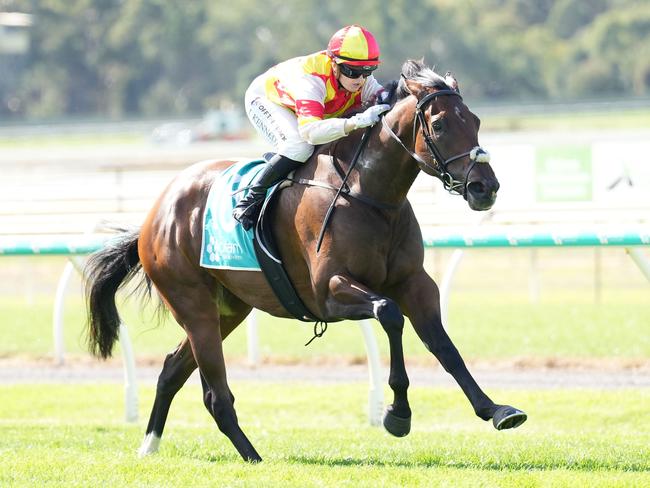 Coco Sun ridden by Jaylah Kennedy wins the IMMIX, Metal Recycled Right BM70 Handicap at Bendigo Racecourse on April 13, 2024 in Bendigo, Australia. (Photo by Scott Barbour/Racing Photos via Getty Images)