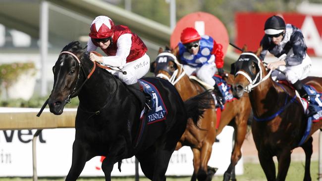 Hoo Haa’s sire Denman winning the Golden Rose.