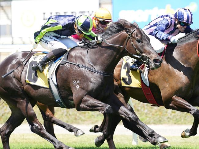 Modown ridden by Craig Williams wins the John Duff & Co Vobis Gold Bullion at Sportsbet Pakenham on December 21, 2024 in Pakenham, Australia. (Photo by Scott Barbour/Racing Photos via Getty Images)