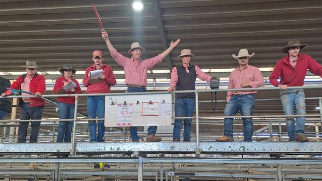 Elders selling under the spotlight at Wodonga.