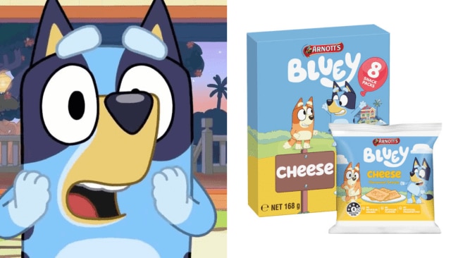 Warnings about Bluey labelled snack products. Source: Bluey/Woolworths