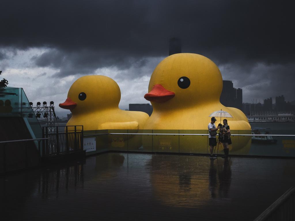 On the last day of the Yellow Double Ducks exhibition at Victoria Harbour in Hong Kong, a couple and their dog enjoy a quiet, rainy moment together. Picture: Carlo Yuen