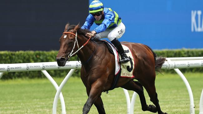 Talented two-year-old Gallo Nero is one of the leading contenders for the Magic Millions Classic on the Gold Coast. Picture: Getty Images