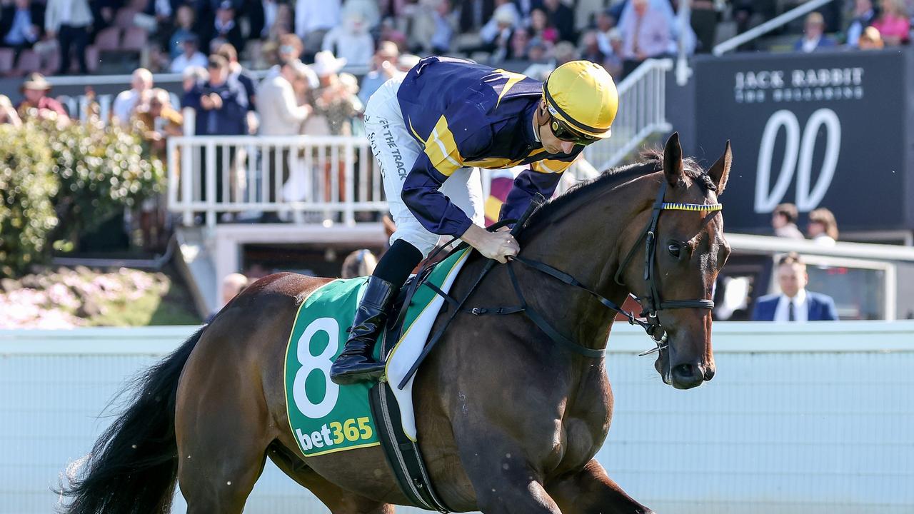 Melbourne Cup: Mike Moroney declares Emissary a genuine chance after ...