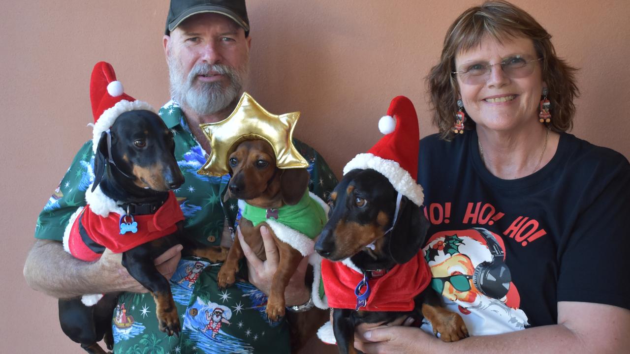 David Wallace and Cheryl Thompson, of Marian, with their Triple Bs – Baxter, Betty and Barney at the Mackay Dachshunds Christmas Party. Photo: Janessa Ekert