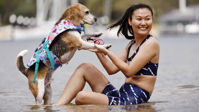 Bagelthe Beagle wearing a swim jacket from Stylish Hound with owner Karen Yang. Picture: Sam Ruttyn