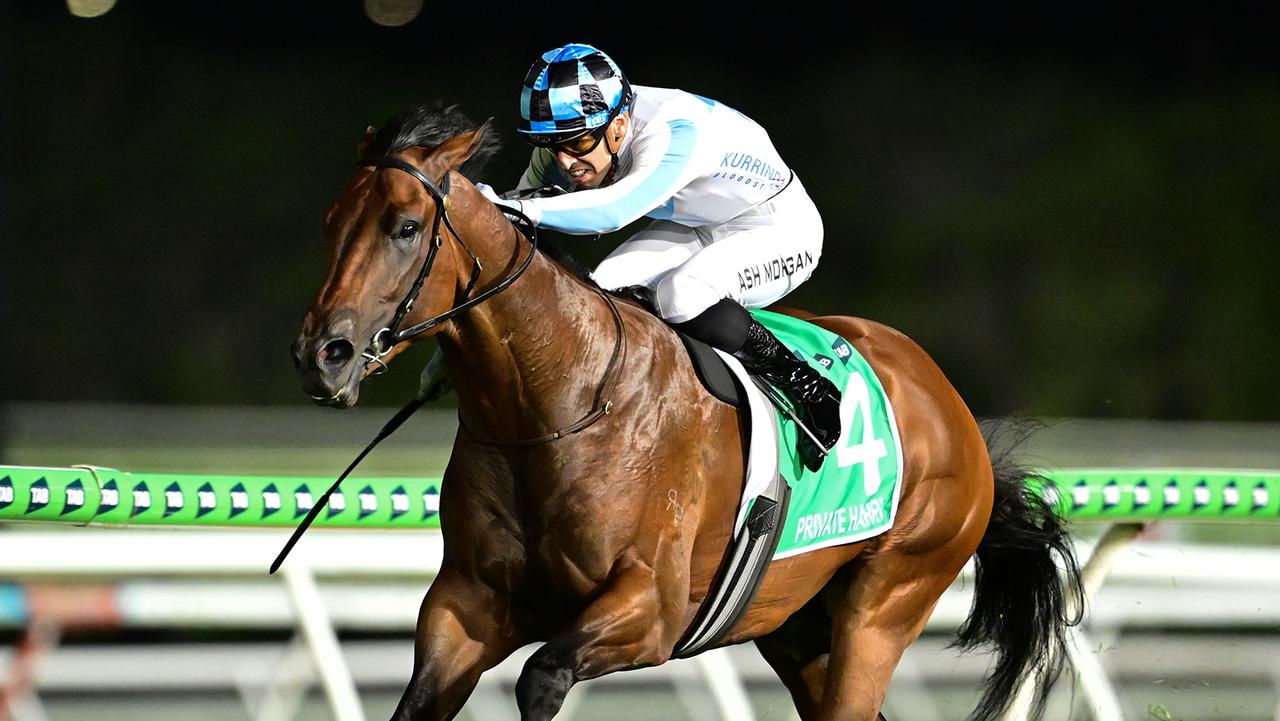 Private Harry will chase a maiden Group 1 in The Galaxy. Picture: Grant Peters/Trackside Photography