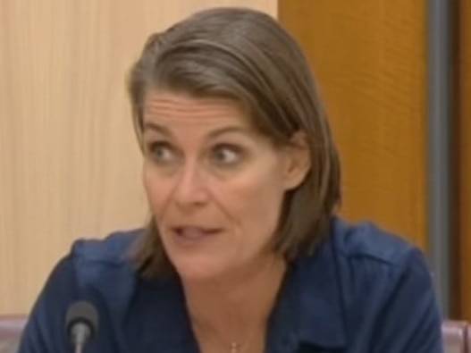 NSW Senator and Nationals deputy leader Perin Davey slurred her speech during a Senate environment and communications legislation committee hearing on February 13, 2024. Picture: Supplied