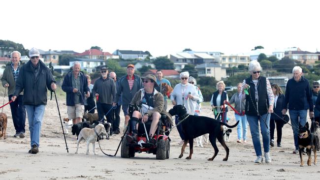 Off-leash dog walkers along Hayborough Beach, part of the Hindmarsh Estuary, enjoy the sense of community off-leash dog walking brings to their daily lives. Picture: Dean Martin