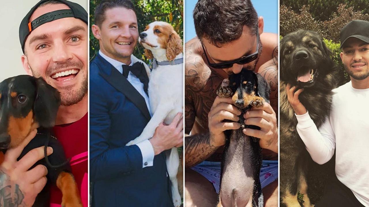 Grand Final dogs: The real NRL wags