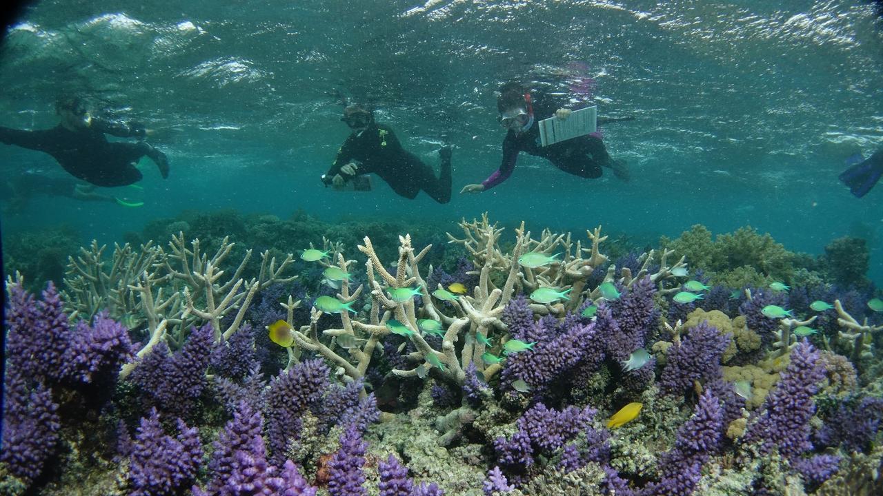 $500 million has been pledged to help protect the Great Barrier Reef.