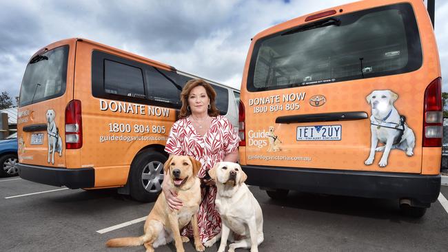 Karen Hayes with guide dogs Ari and Luna. Picture: Nicki Connolly