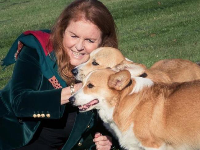 Sarah Ferguson cuddles the late Queen's corgis.