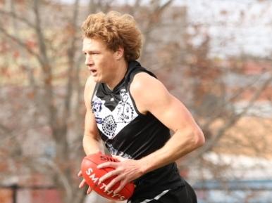 Hugh Dixon of the Southport Sharks against the Northern Bullants. Picture: Jaguar Media.