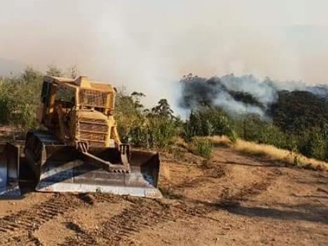Harvest and haulage contractors' bulldozers used to fight fires around Thomson Valley dam