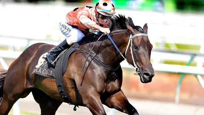 Black Caviar