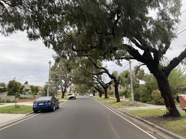 Fawkner residents living on Anderson Rd near Sydney Rd are afraid the trees on that road are a "disaster waiting to happen". Photo: Himangi Singh