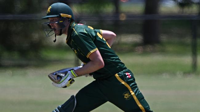 Premier Cricket: Northcote’s Aaron Crispe calls no. Picture: Andy Brownbill