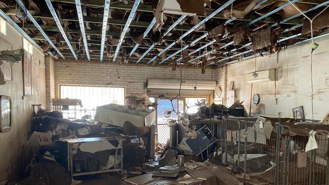 Janet Goodwin’s shop, Totally Dogs, was ruined in February - underneath 14 metres of floodwater in Terania Street, South Lismore.