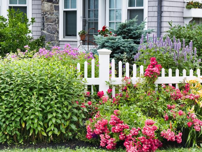 Low angle view of flower garden and greenery in front of white picket fence with New England style house in the background. Picture: iStock