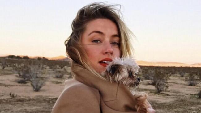 Amber Heard and Pistol.