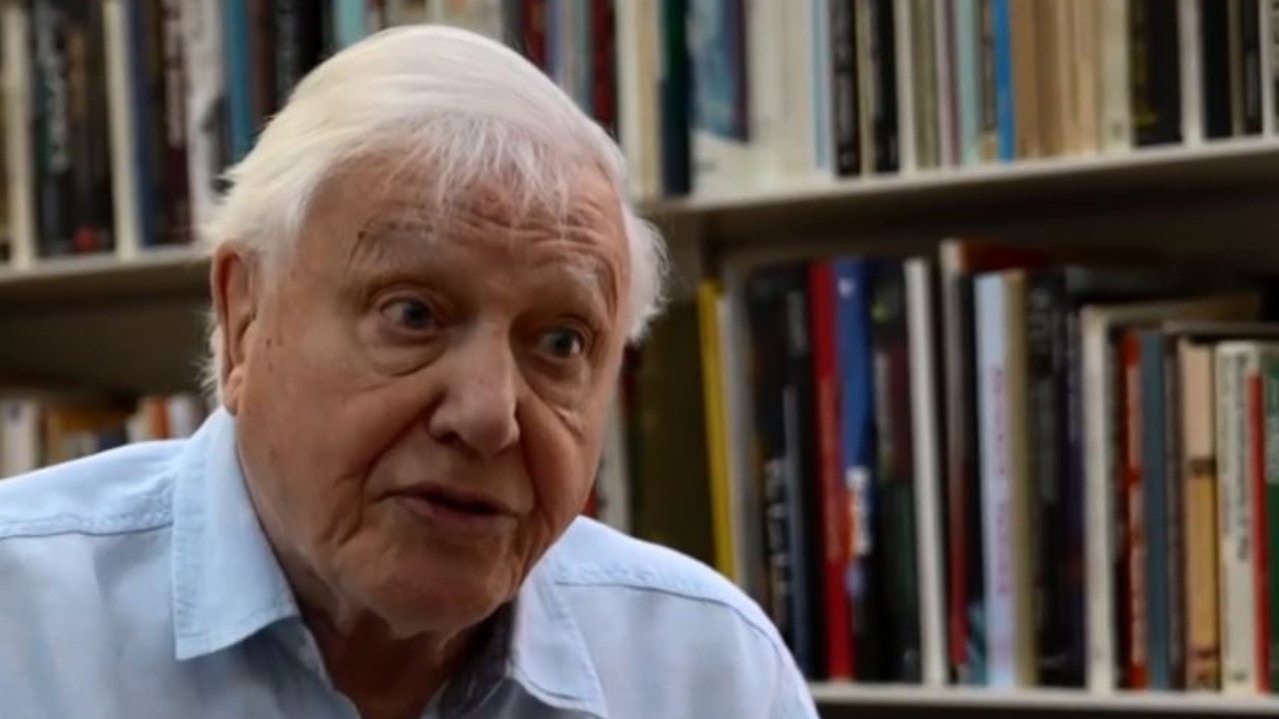 David Attenborough spoke to the BBC about Australia's bushfire crisis. Picture: BBC