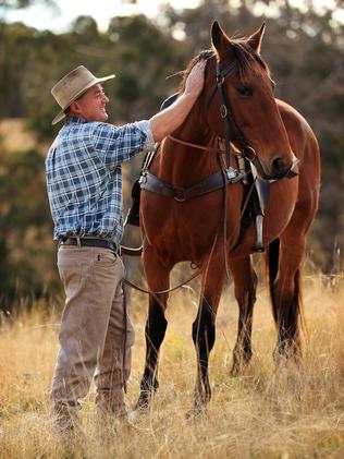 Man rescues 52 brumbies from Burragorang Valley | Daily Telegraph