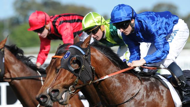 Stan Fox Stakes 2016: Impending stakes genuine claim for shot at Caulfield Guineas | Daily Telegraph