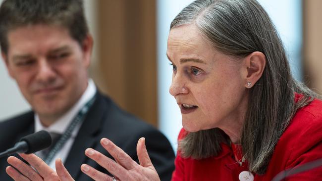 CANBERRA, AUSTRALIA, NewsWire Photos. FEBRUARY 5, 2024: Diane Brown Deputy Secretary for the Revenue Group at the Treasury appears before the Coalition-led cost of living inquiry at Parliament House in Canberra. Picture: NCA NewsWire / Martin Ollman