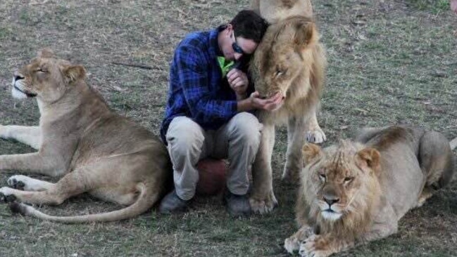 Stardust trainer Matthew Smith hangs out with some of the lions in their enclosure.