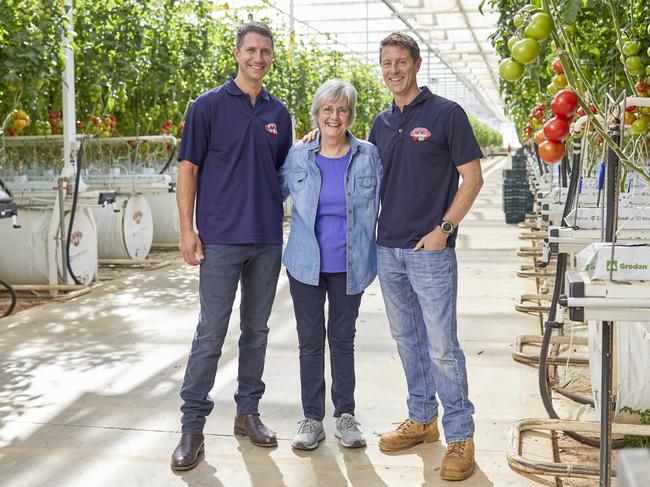 Tomato growers Edward, Gabrielle and Chris Millis at Flavorite’s Glasshouse in Warragul, Victoria.