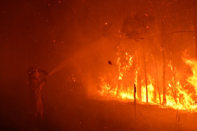 Firefighters spray a blaze at Peregian Springs