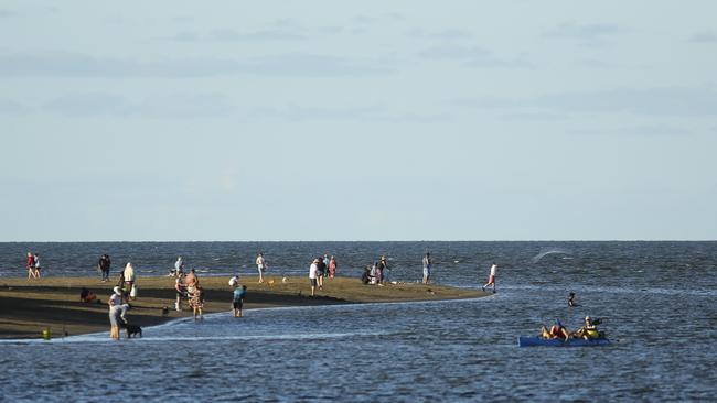 A dog off leash area will be trialled on Nudgee Beach next year. Picture: Mark Cranitch