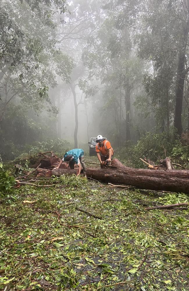 Ryan King from Tip Top Tree Services Gold Coast helped a local family trapped inside their home. Picture: Facebook