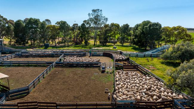 The Booroorban aggregation consists of the Cooneen (3501ha), Oaklands (3554ha) and Park Estate (3237ha) farms.