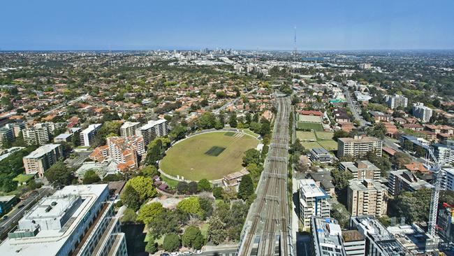 Infestations have been reported in suburbs including Chatswood.