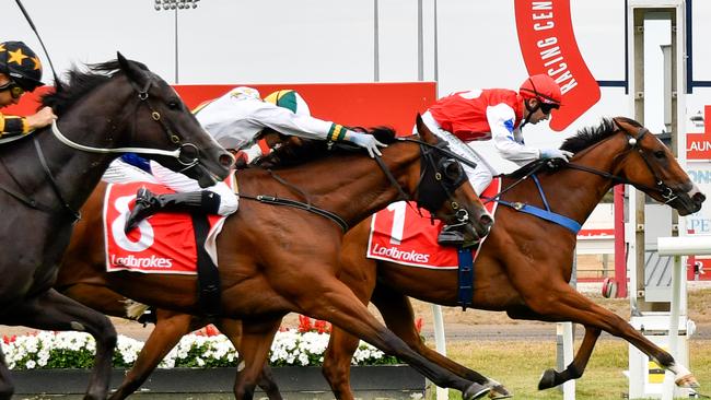 D'oro Star (Anthony Darmanin) winning the 3YO Classic (1200m) on Launceston Cup day this year. Photo: Clare Pettit