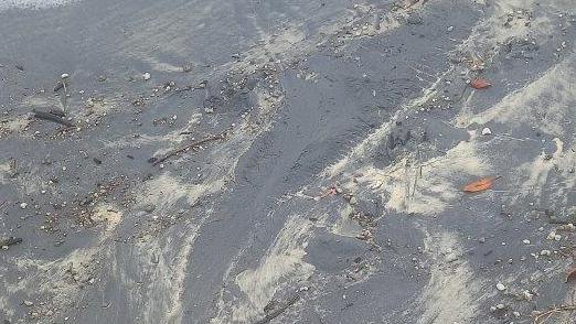 A Sunshine Coast ranger photographed the imprint of a crocodile’s body in the sand of a Sunshine Coast beach after he spotted it fleeing into the water at Inskip Point.