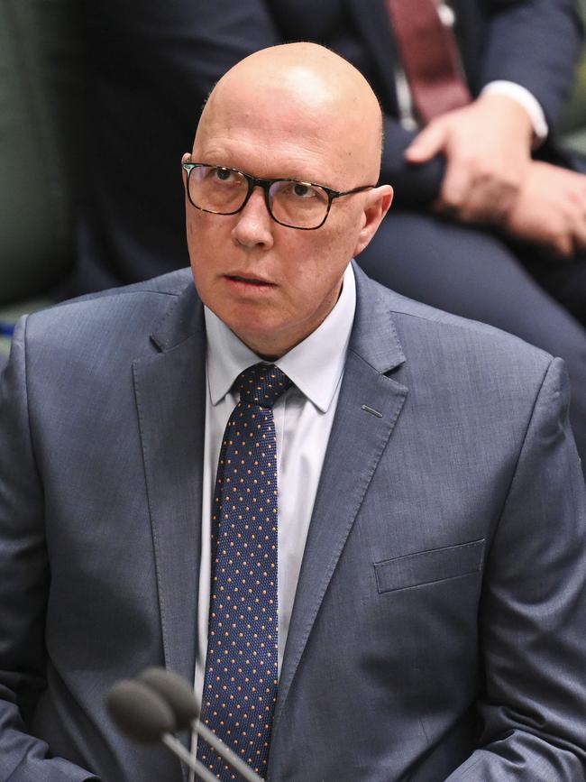 Opposition Leader Peter Dutton. Picture: NewsWire/Martin Ollman