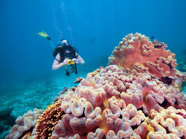 Tourism Australia’s Come and Say G'Day, Don't Go Small … Go Australia! tourism campaign – Great Barrier Reef. Picture: Supplied