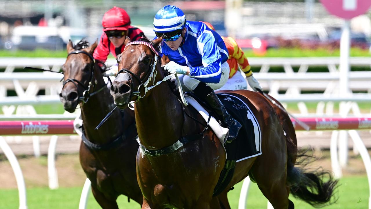 Steady Ready scores a commanding win under Cody Collis at Eagle Farm on Saturday. Picture: Grant Peters/Trackside Photography