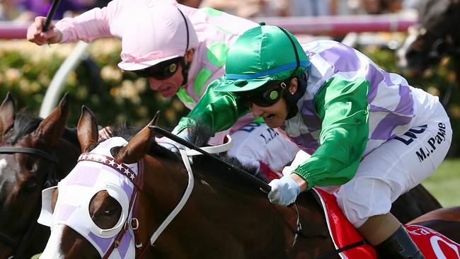 All clear: jockey Michelle Payne and Prince Of Penzance create history in last year’s Melbourne Cup. Picture: George Salpigtidis